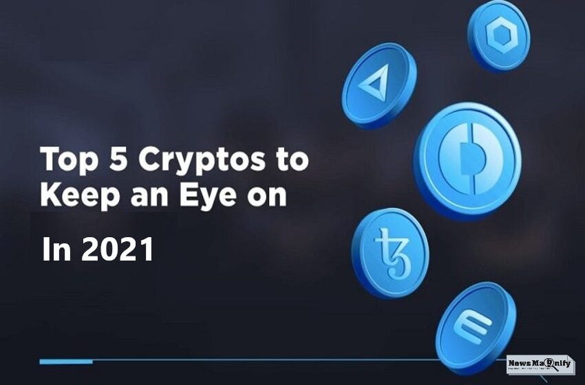  Top 5 Cryptos: Right Coins To Invest In India Now