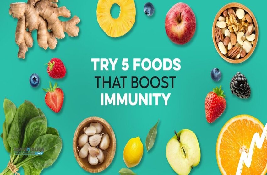  Top 5 Foods That Will Increase Your Immunity