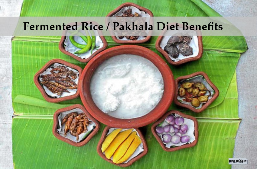  7 Important Fermented Rice Diet Benefits That You Should Know