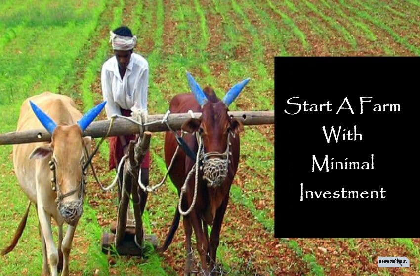  How To Start A Farm With Little Investment?