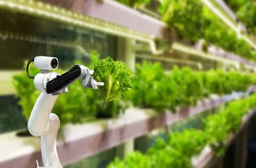  Top 5 Emerging Agricultural Innovations That Will Increase Productivity