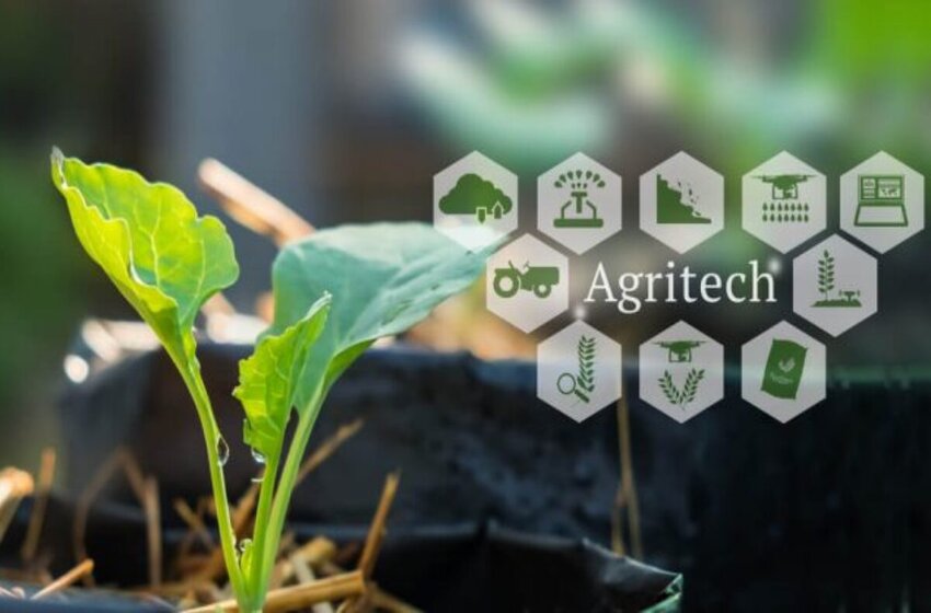  10 Important Indian Agritech Startup Companies Of The Year 2021