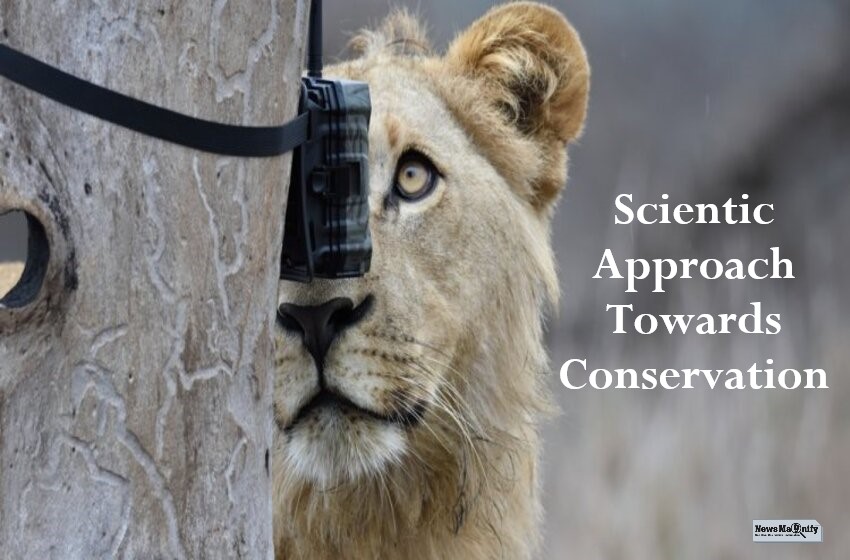  How Are Science Innovations Changing Conservation In The Year 2021?