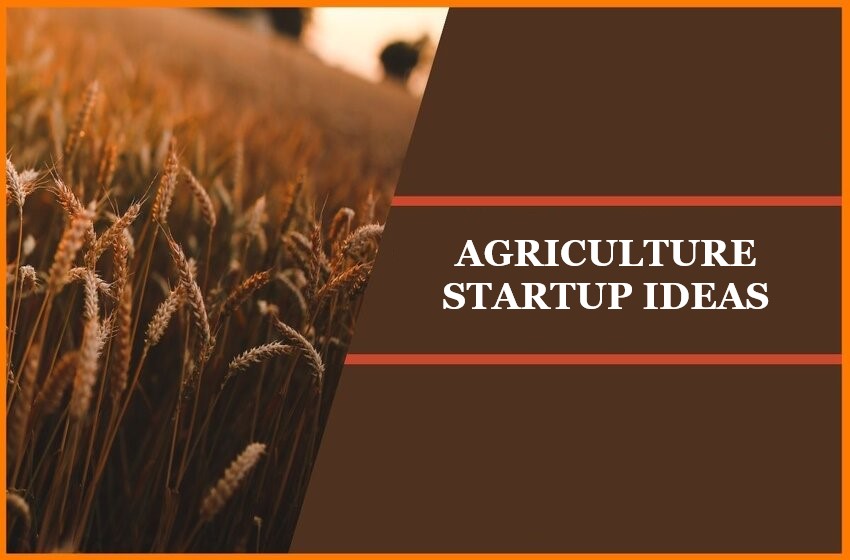  10 Easy And Convenient Agriculture Startup Ideas For You