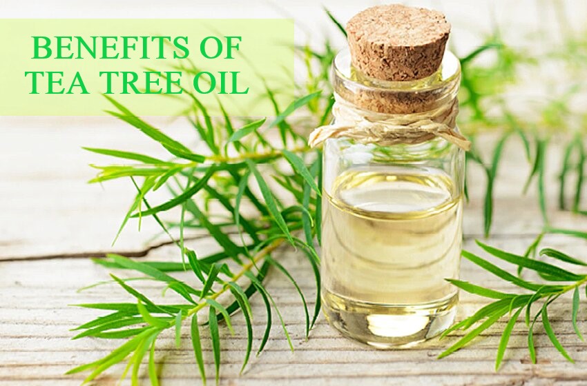  Tea Tree Oil Benefits: Make This Your New Skincare Partner