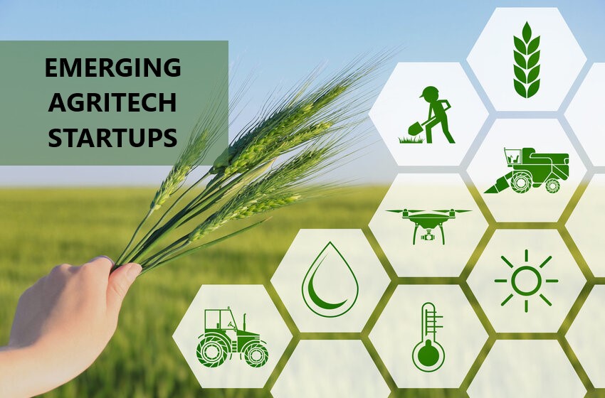  These Emerging Agritech Startups Are Largely Helping The Farmers