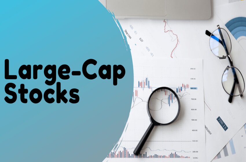  Large Cap Stocks: Know Everything Now Before You Invest