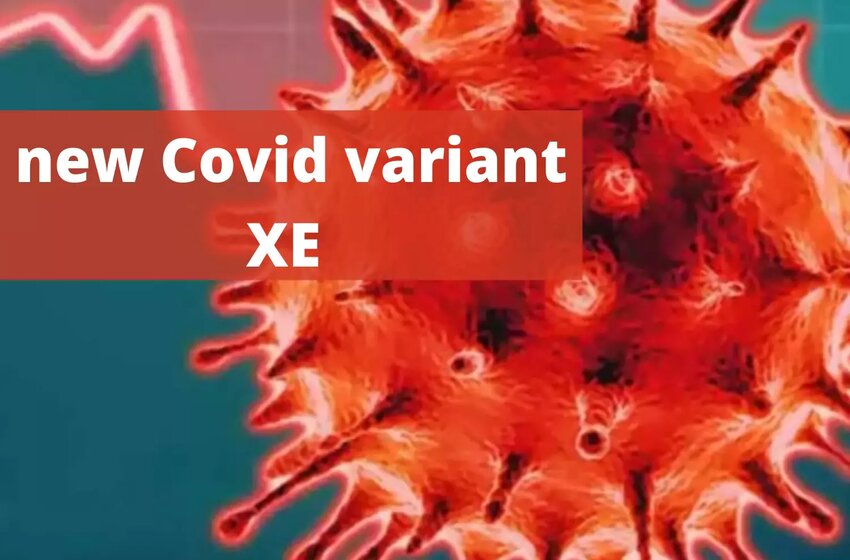  Covid XE Variant: How Severe Will This New Mutation Be?