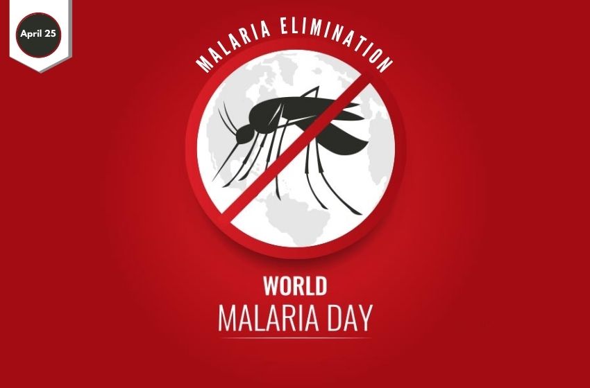  Important Strategies For Malaria Elimination In This Country
