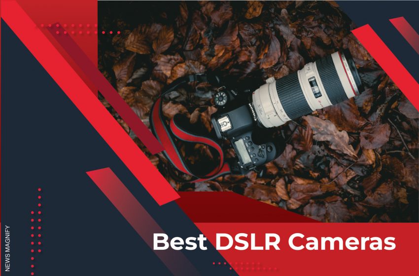  Best DSLR Cameras For You To Choose Now