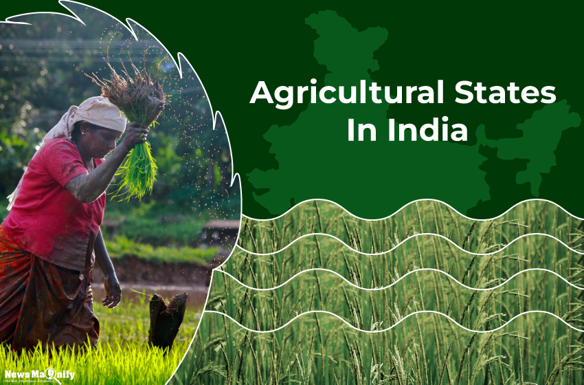 agricultural-states-in-india