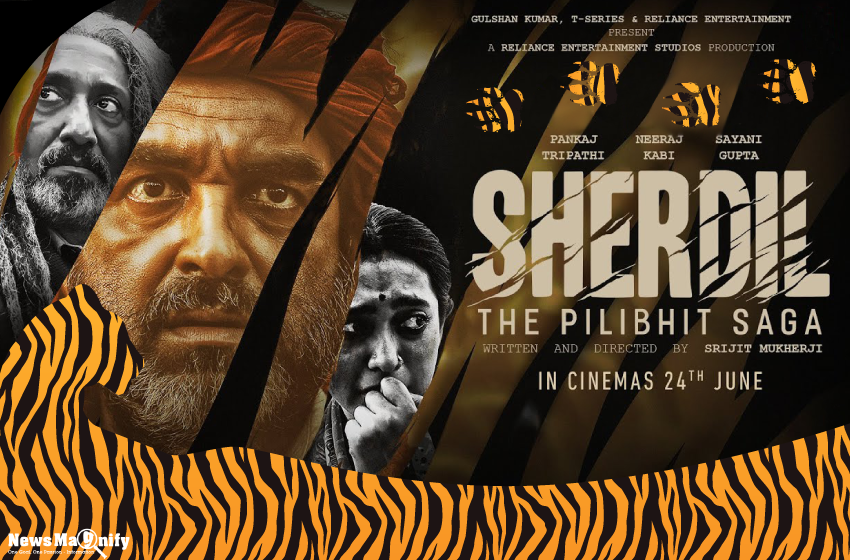  Sherdil Movie: A New And Rare Narrative In Bollywood