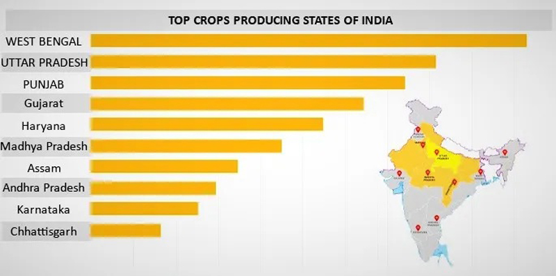 top-crops-producing-states