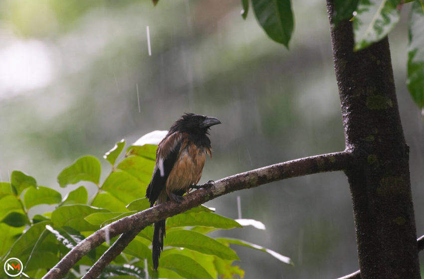 monsoon-locations-in-india