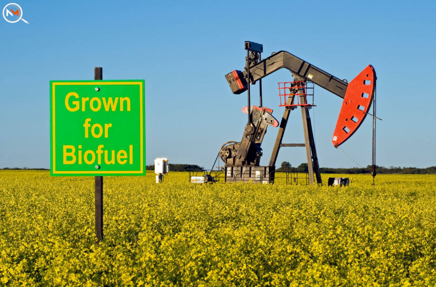  Top 5 Lesser Known Benefits Of Biofuel Usage