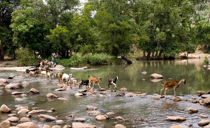 chinnar-wildlife-sanctuary-in-india