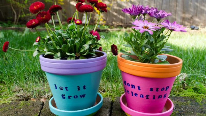 a-flower-pot-saying-thank-you